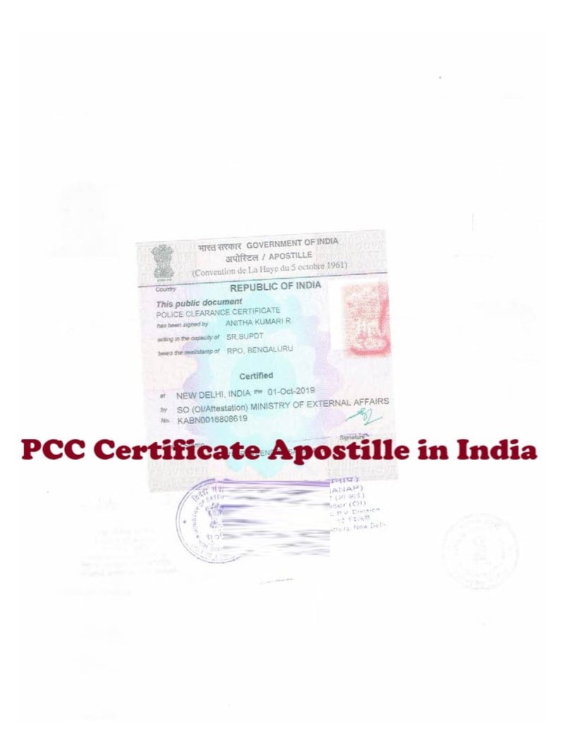 PCC Certificate Apostille Nicaragua No Criminal Record Certificate